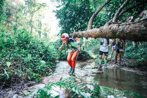 BIB: 
                            <button type="button" onclick="openModal(25441081)" class="btn btn-primary btn-sm float-right btn-popup" data-toggle="modal" data-target=".modal-high-quality">
                        <i class="fas fa-shopping-cart"></i> Add to Cart
                    </button>
                                            <button type="button" onclick="isThisMe(25441081, true)" class="btn btn-success btn-sm float-right btn-popup btn-isme hidden" data-toggle="tooltip" data-placement="bottom" title="นี่คือรูปของคุณใช่ไหม คลิกที่นี่เพื่อเอาเข้าอัลบั้ม">
                        <i class="fas fa-plus"></i> Add to album
                    </button>
                    <button type="button" onclick="isThisMe(25441081, false)" class="btn btn-warning btn-sm float-right btn-popup btn-isnotme hidden">
                        <i class="fas fa-ban"></i> Remove from album
                    </button>